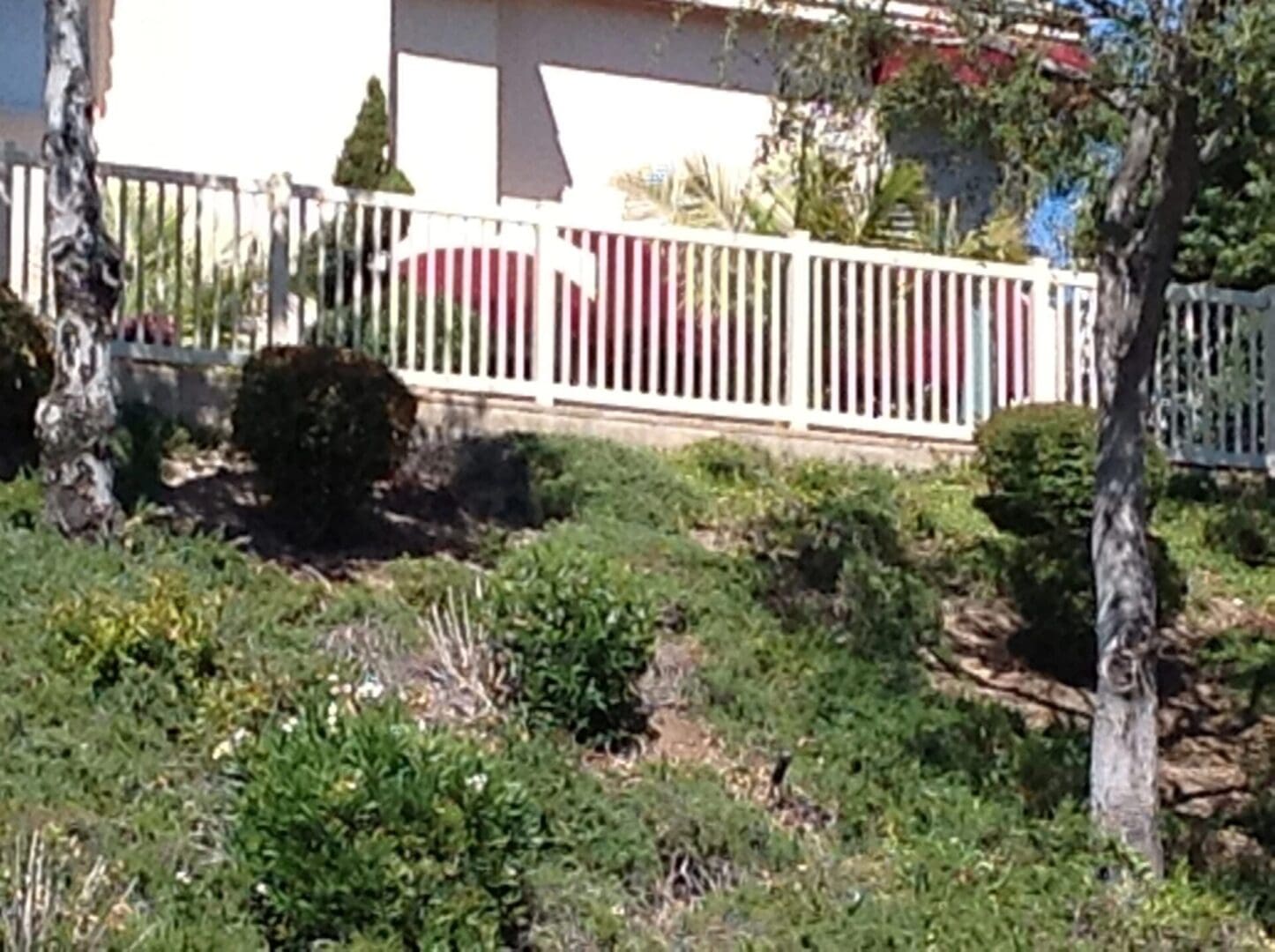 House with white fence and green bushes.