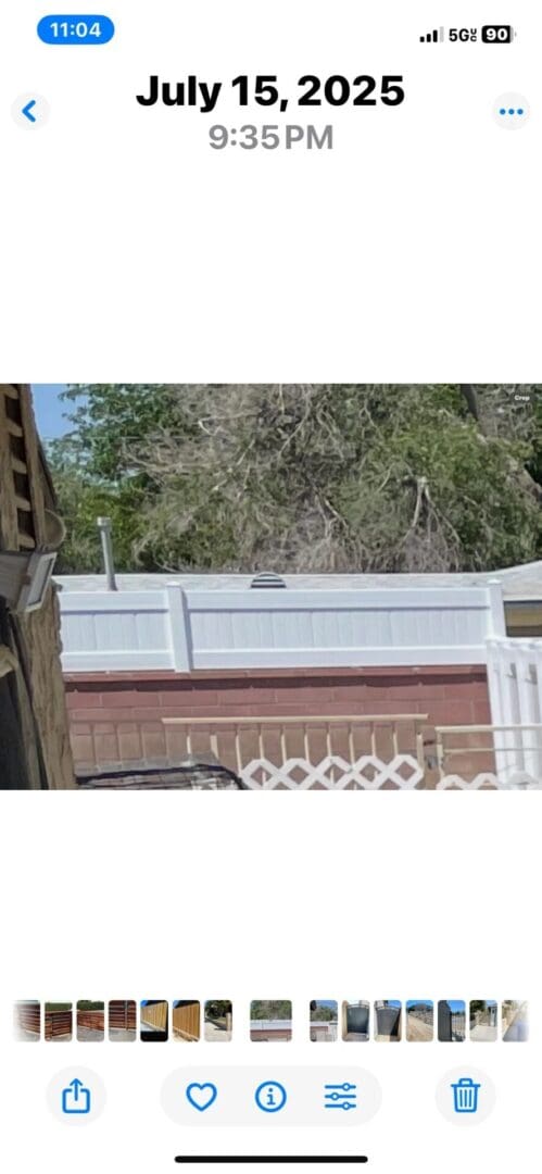 Backyard with white fence and tree.