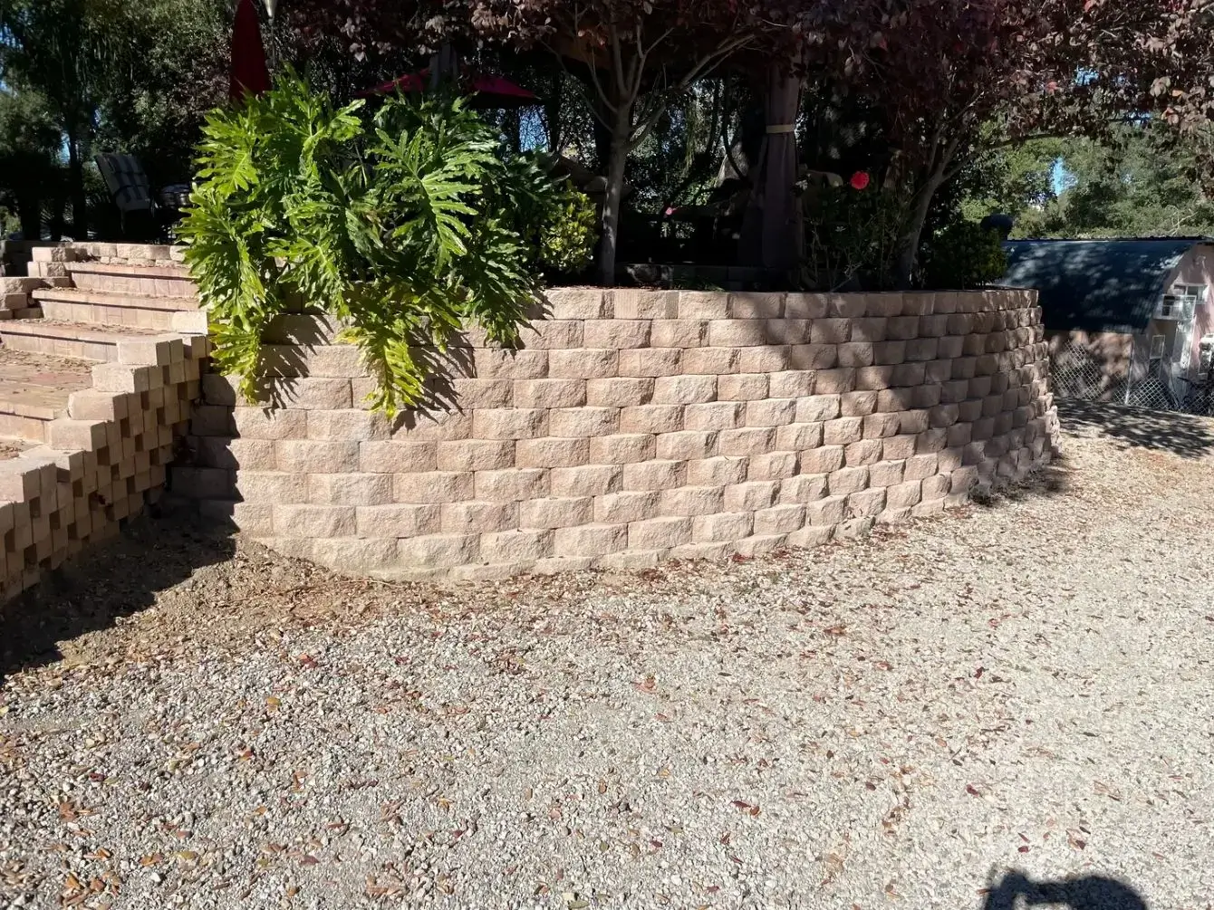A brick retaining wall with greenery on top in a sunny garden.